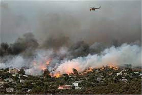 صوره أرشيفية