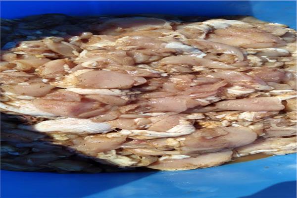 مضبوطات الدجاج