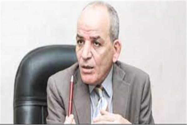 الدكتور السيد عطا رئيس قطاع التعليم بوزارة التعليم العالي والبحث العلمي