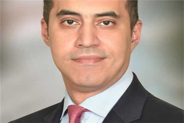 المستشار محمود فوزي