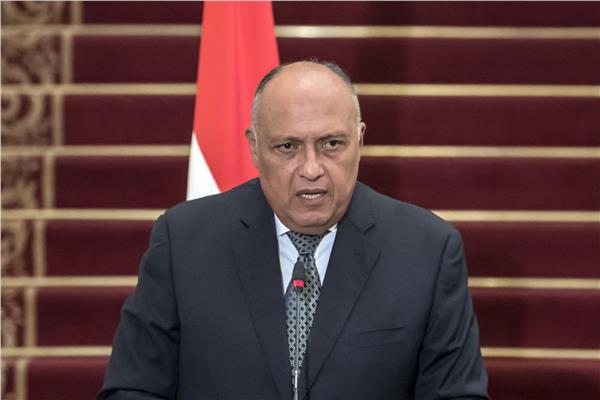  وزير الخارجية سامح شكري