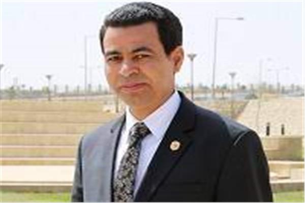 الدكتور محمود عبدالعاطي 