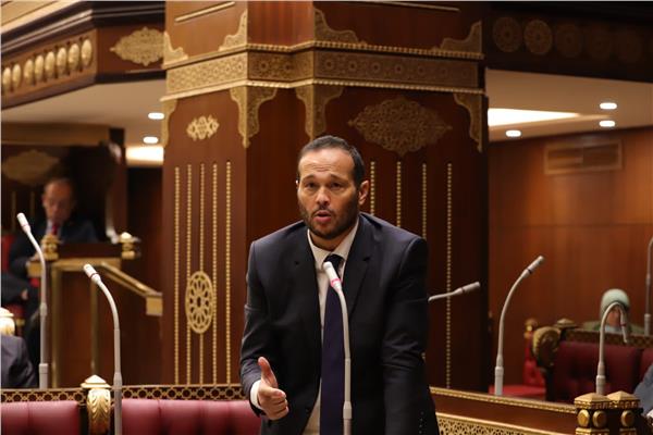 النائب محمد حلاوة