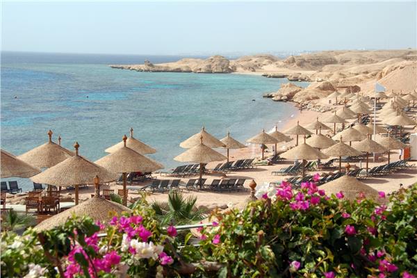 صورة موضوعية