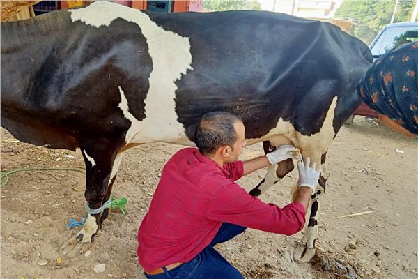  قوافل بيطرية علاجية 