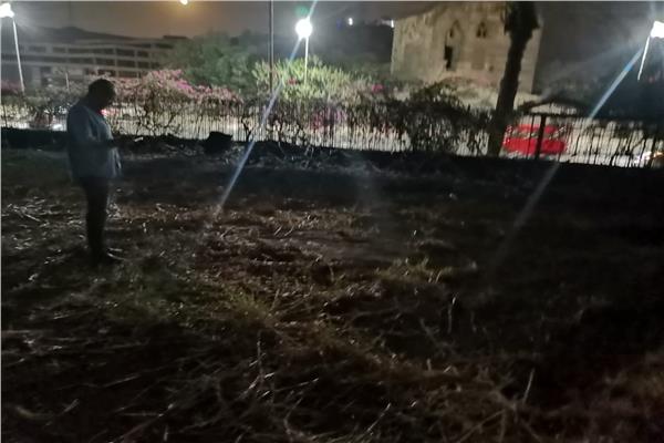 صورة موضوعية