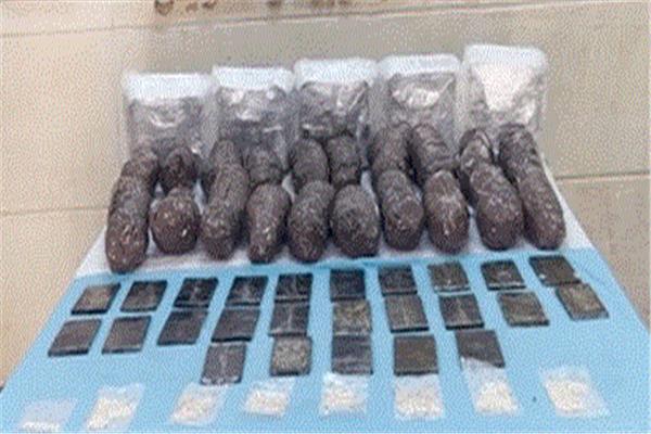 المضبوطات