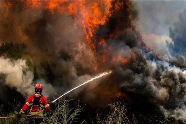 صورة أرشيفية