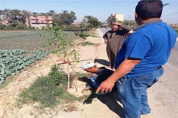  سوهاج تبدأ  زراعة 648 شجرة بطما وطهطا وحي الكوثر
