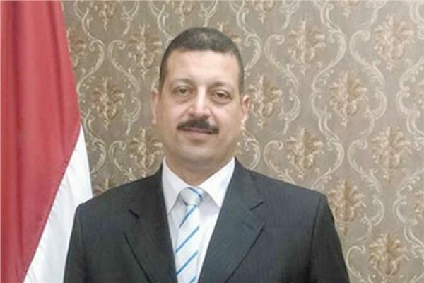 الدكتور أيمن حمزة المتحدث باسم وزارة الكهرباء و الطاقة المتجددة