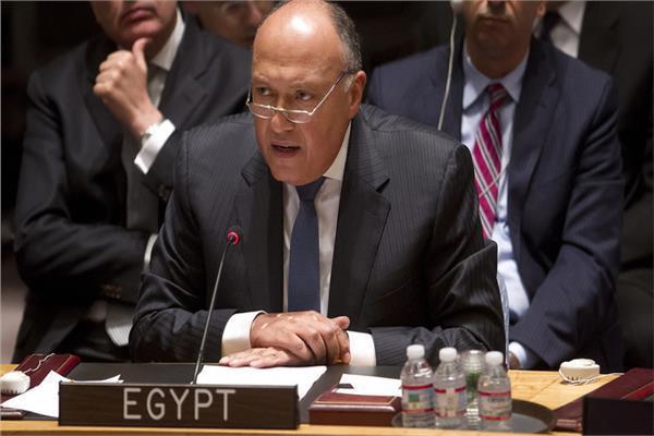 الوزير سامح شكري