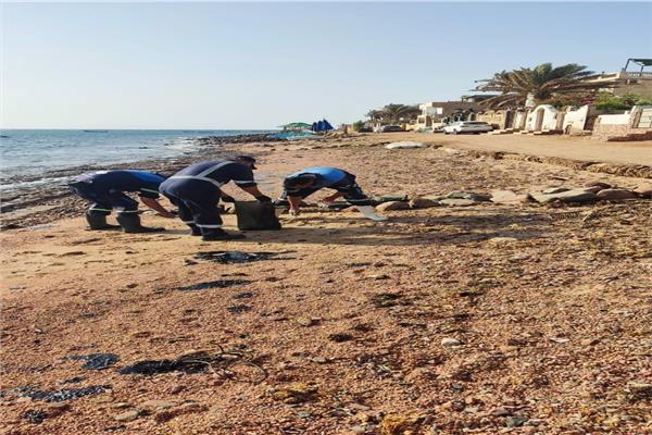 صورة موضوعية