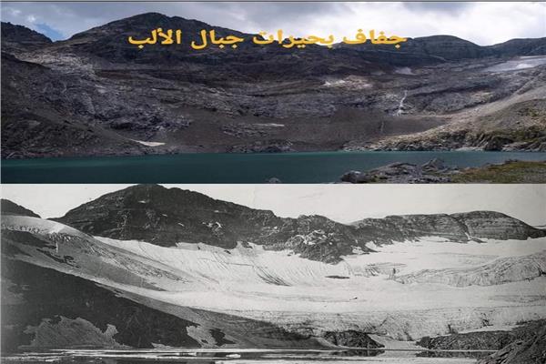 صورة موضوعية