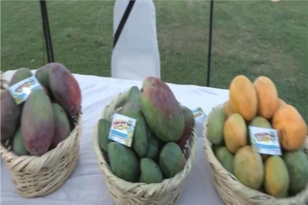 صورة موضوعية