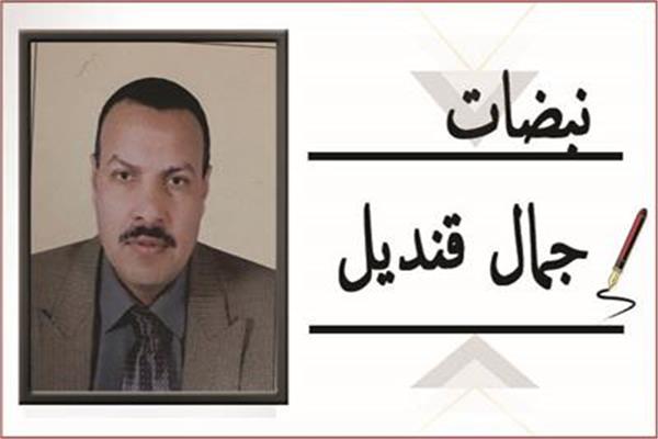      جمال قنديل