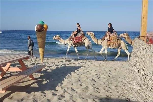 الشتاء في مصر حاجة تانية