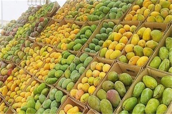 موضوعية