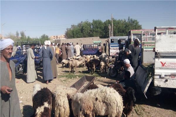 سوق الماشية وتحصين ضد الحمى القلاعية وحمى الوادي المتصدع