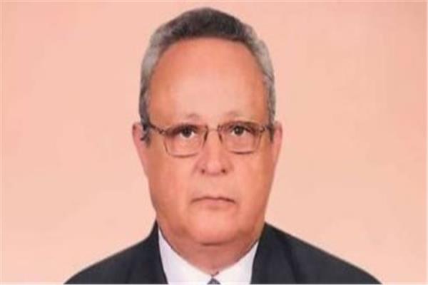 الدكتور أحمد زايد مدير مكتبة الإسكندرية