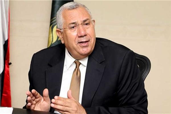 الصادرات المصرية