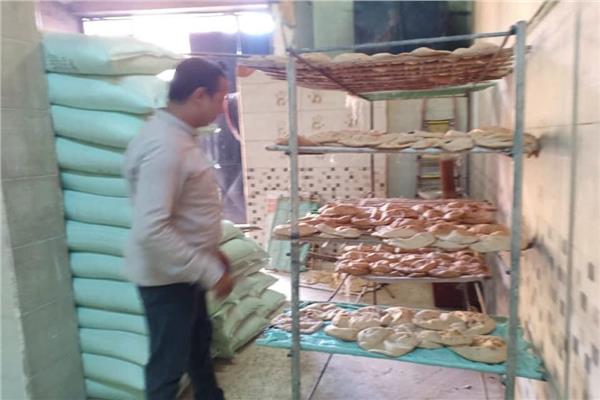 صورة من الجولة