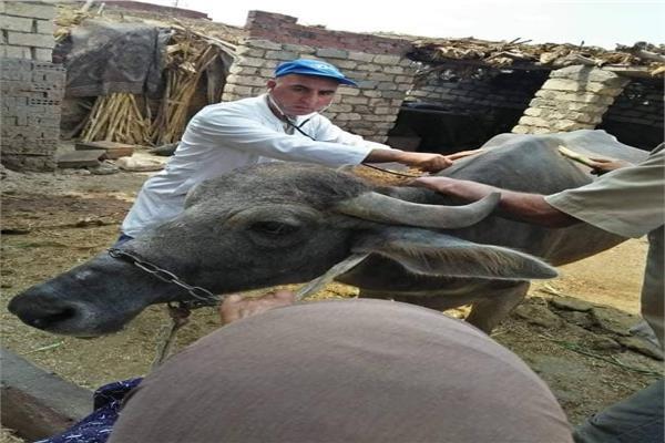 صورة موضوعية