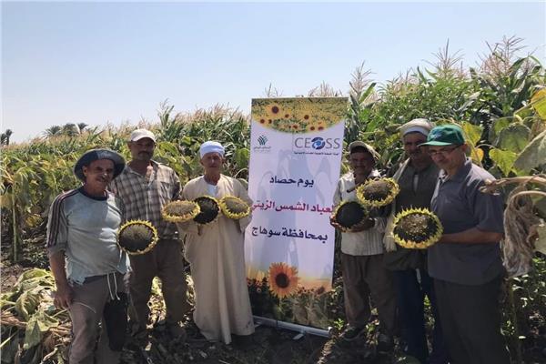 صورة موضوعية