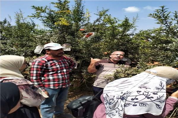 طلبة زراعة القناة