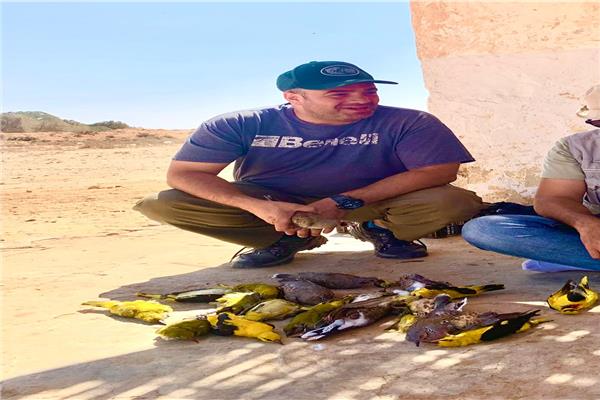 توافد الطيور المهاجرة على سواحل البحر المتوسط 