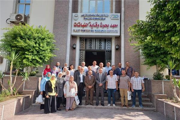 صورة موضوعية