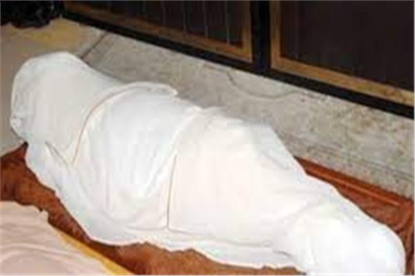 صورة ارشيفيه