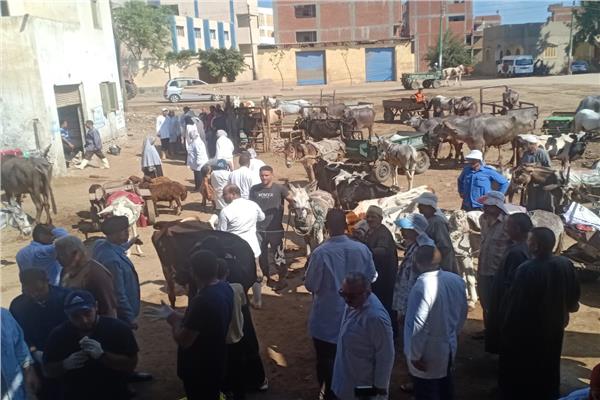 جانب من القافلة البيطرية 