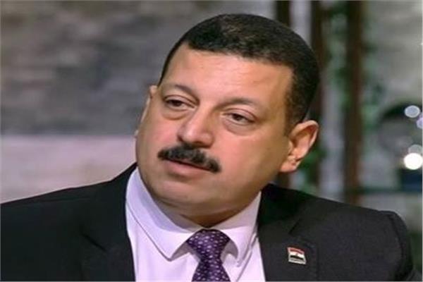 الدكتور أيمن حمزة المتحدث الرسمي باسم وزارة الكهرباء