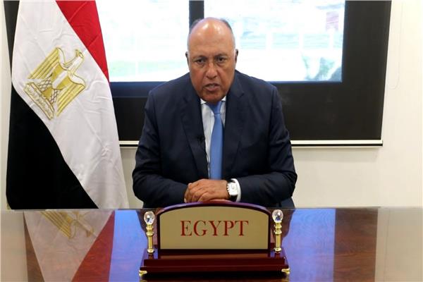 سامح شكري وزير الخارجية، 