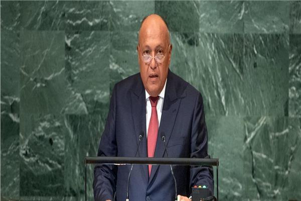 وزير الخارجية سامح شكري