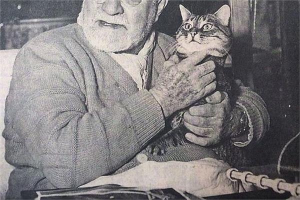 صورة تعبيرية