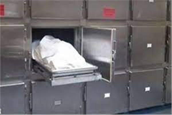 صورة ارشيفيه