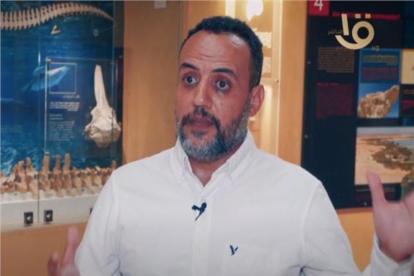 منطقة وادي الحيتان