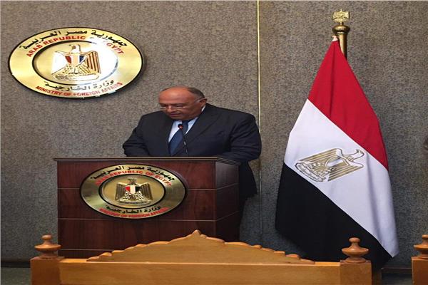 وزير الخارجية  سامح شكري