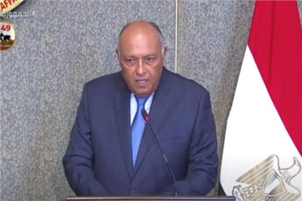 سامح شكري، وزير الخارجية