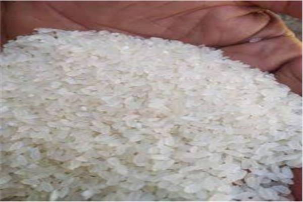 موضوعية