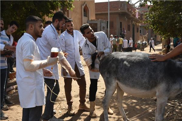 موضوعيه