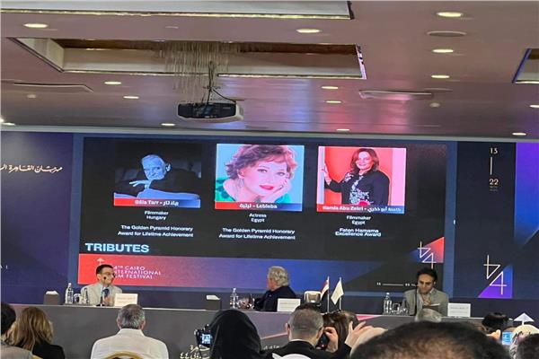  مهرجان القاهرة السينمائي الدولي