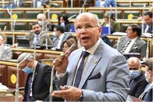  النائب السيد شمس الدين عضو مجلس النواب