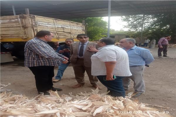 صورة موضوعية
