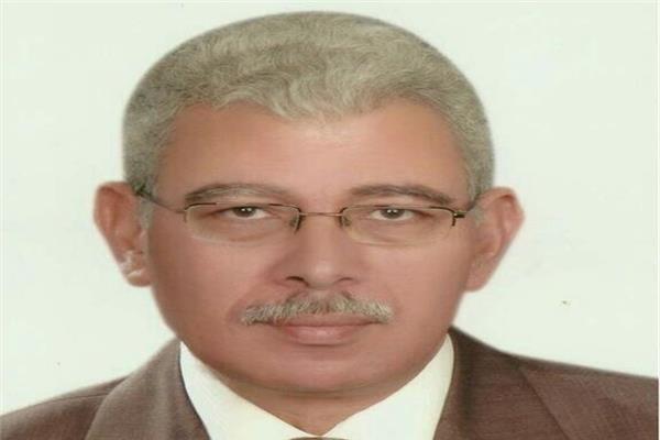 المهندس محمد شعبان دياب