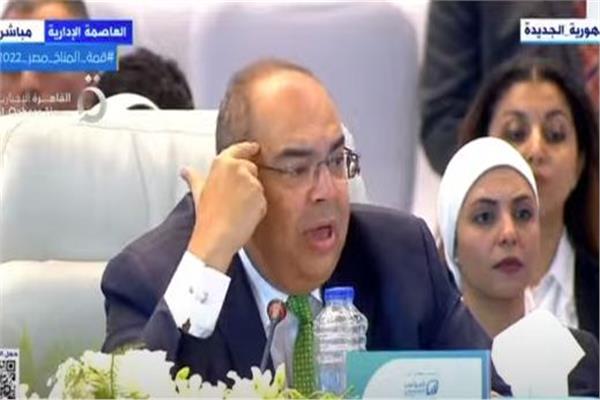 الدكتور محمود محي الدين