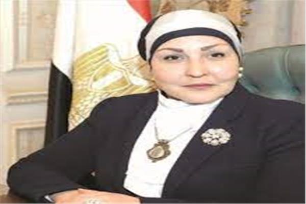 وكيل لجنة المشروعات الصغيرة والمتوسطة بمجلس النواب