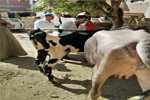 قافلة بيطرية لقرية  تل مسمار 