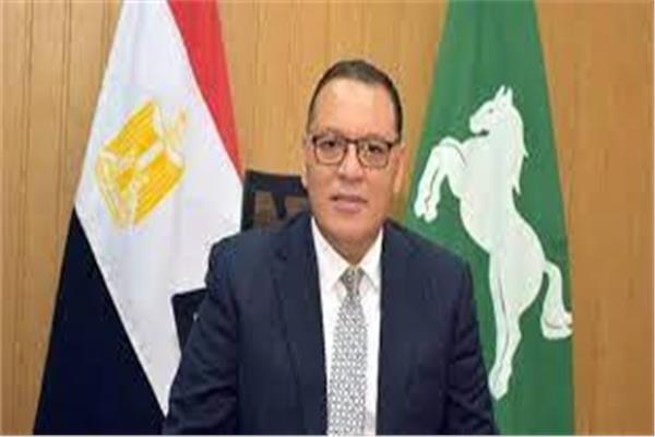 ارشيفية
